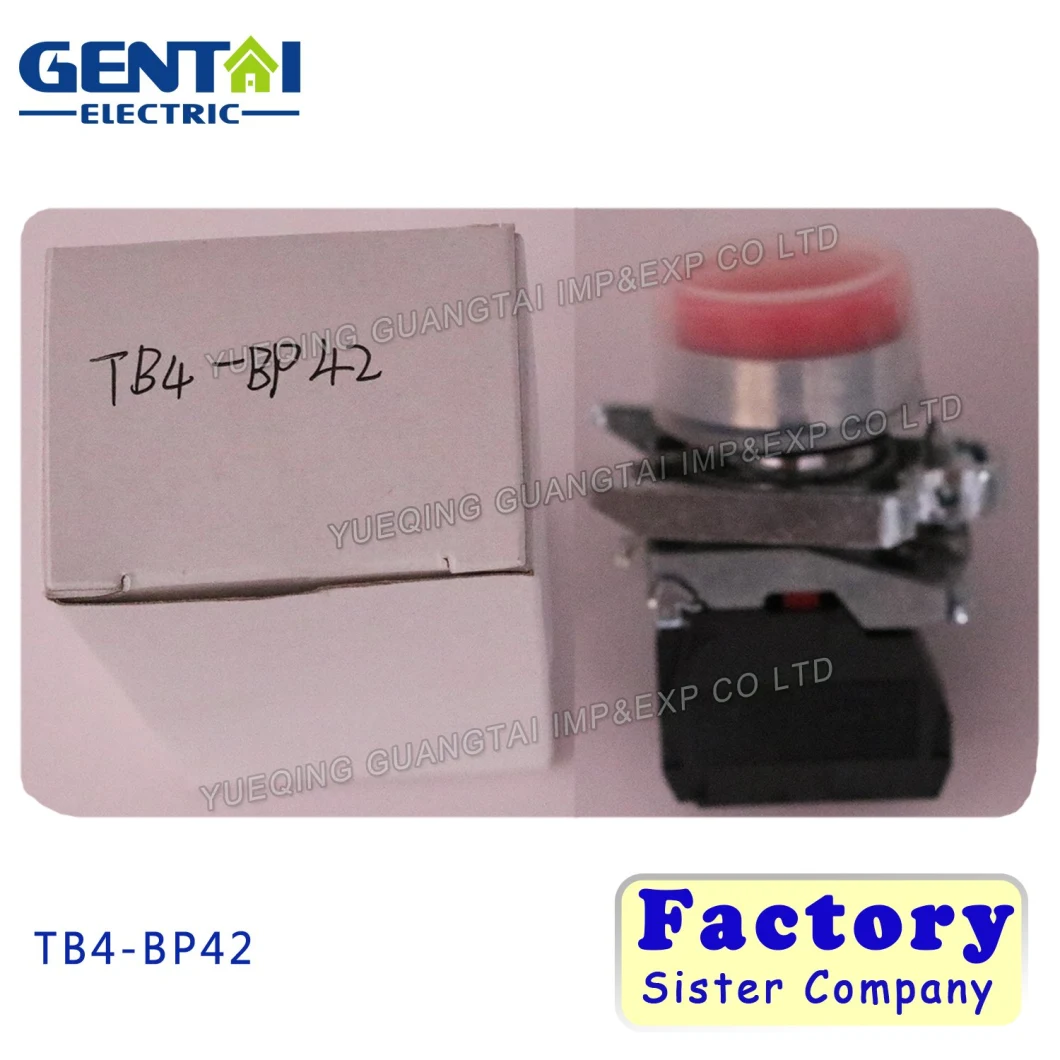 Tb4-Bp42 IP65 40mm Red Flat Head Push Button Switch