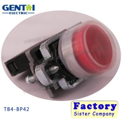 Tb4-Bp42 IP65 40mm Interruptor pulsador de cabeza plana rojo